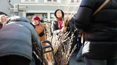 kedicikler bitki dal şehir bahar olay festival adil satın almak