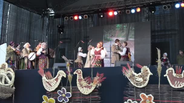 Musiker in Nationalkleidung spielen Musikinstrument Tanzszene — Stockvideo