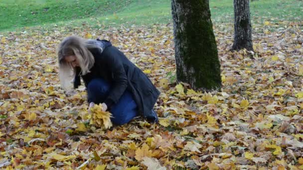 Woman hand pick up gather colorful maple tree leaves park — Stock Video