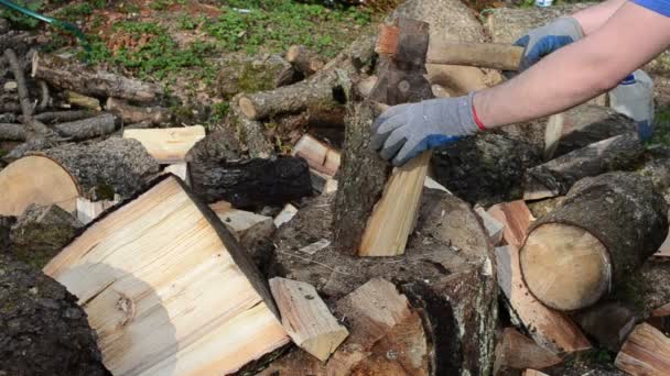 男子双手戴着手套用斧头砍木头 — 图库视频影像