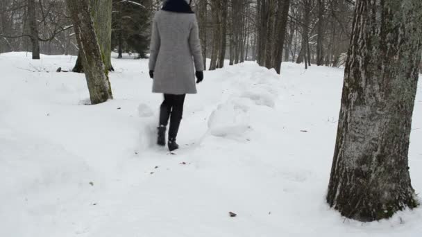 Женщина серый плащ ходьба чистая снежная тропа зимний парк — стоковое видео