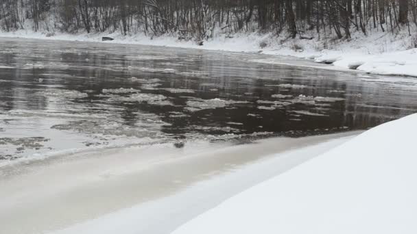 Forest river baai bank dekking sneeuw pakijs drijvende water winter — Stockvideo