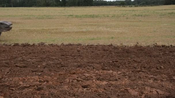 Tractor primer plano arado campo cosecha festival — Vídeos de Stock