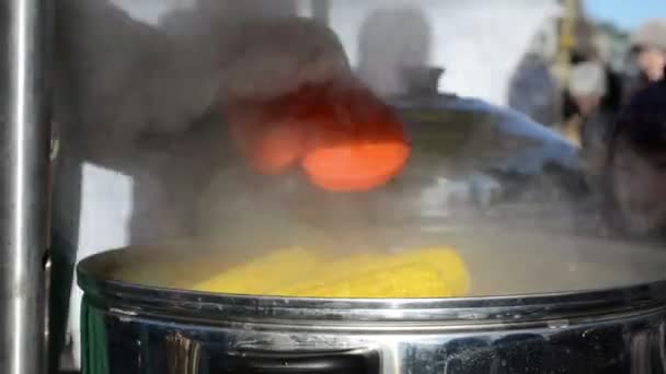 Vendedores con guante de silicona toma maíz de una olla profunda — Vídeos de Stock