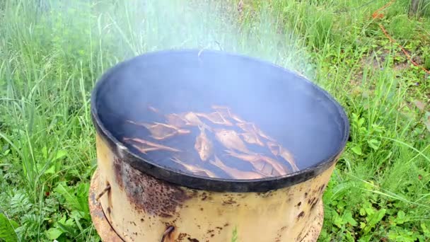 さびたビンテージ バレル スモークハウスで燻製生態系魚の食事 — ストック動画