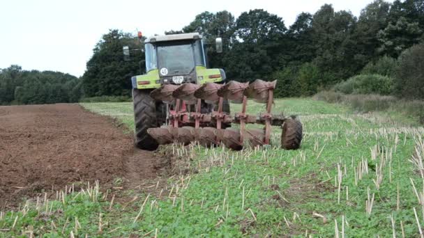 Traktor plöja jorden jordbruk fält nära skogen — Stockvideo