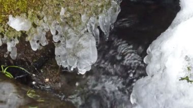 closeup creek geçerli akış taş yosunlu ot kar buz sarkıtları kış