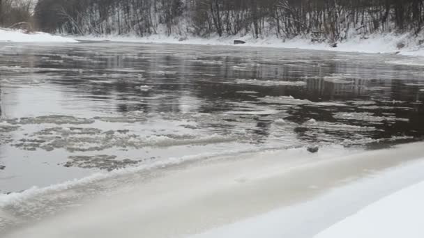 Panorama bos rivier bank sneeuw pakijs float water winter — Stockvideo