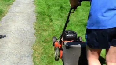 Bahçıvan şort flip-flop ayakkabı biçme makinesi çim kesme taş yolu
