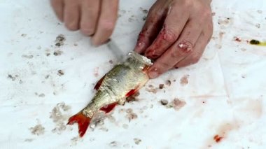 balıkçı elinde bıçak temiz redyey bas balık ölçek cesaret ses