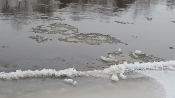 Closeup fast flow river water ice floe floating winter — Stock Video