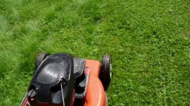 yürüyüş taşı kesme çim çim biçme kesme Bahçe çayır