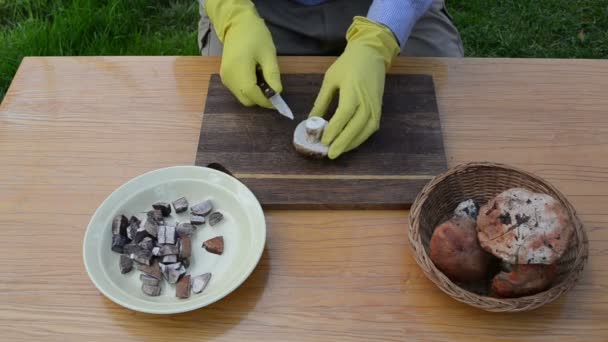 Hand mes gesneden champignons — Stockvideo