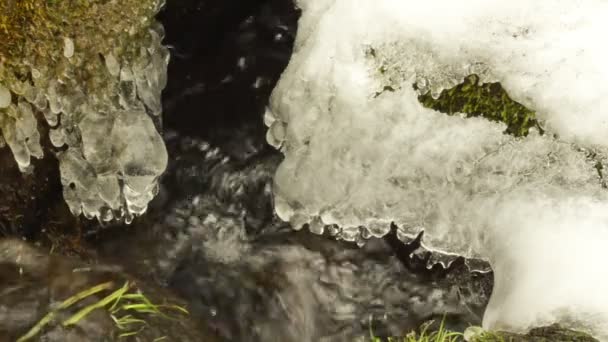 Zbliżenie potoku strumienia przepływu kamień omszony trawa śnieg sople wiosna — Wideo stockowe