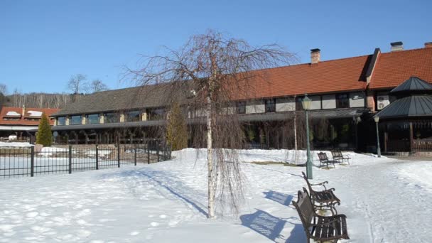 Vidoeiro ramo árvore mover vento restaurante edifício neve inverno parque — Vídeo de Stock
