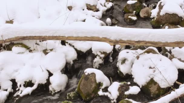 Fluxo de água fluxo de floresta pedras árvore quebrada tronco neve inverno — Vídeo de Stock