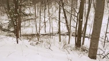 Panorama küçük dere dere kışın Orman ağacı kar çayı