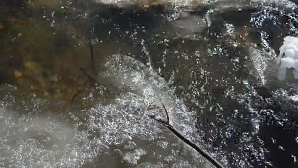 Flujo de agua de arroyo rápido congelado burbujas de aire forman invierno — Vídeo de stock