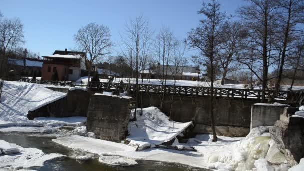 Hond vintage brug waterval water winter wandelen — Stockvideo