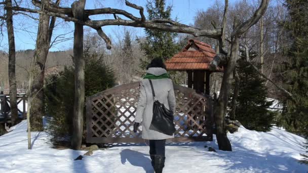 Mulher vestida roupas quentes aberto parque de madeira portão passar neve de inverno — Vídeo de Stock