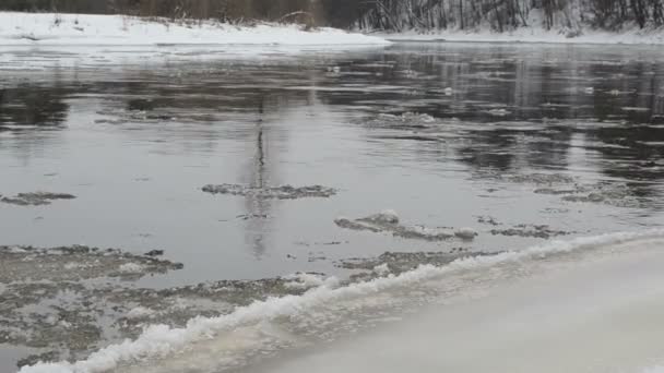 Nahaufnahme Flussbucht Wasserströme tragen Eisschollen im Winter schwimmen — Stockvideo