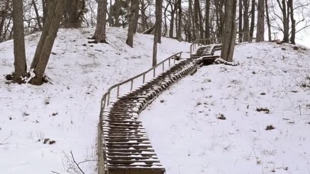 Κάλυψη τεράστια απότομο λόφο κιγκλίδωμα ξύλινο σκαλοπατιών χιόνι το χειμώνα πάρκο — Αρχείο Βίντεο