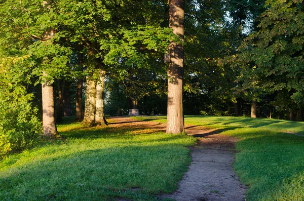 Park cesty stromy ranní slunce staré pohanské kamenný oltář — Stock fotografie