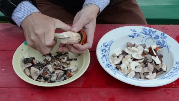 coupe main chapeau orange bolet champignon deux demi-pièces couteau 