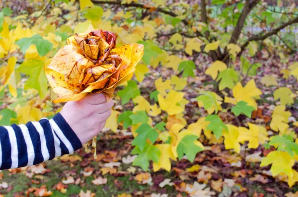 Hand houden decoratieve bloem kleur boom Herfstblad — Stockfoto