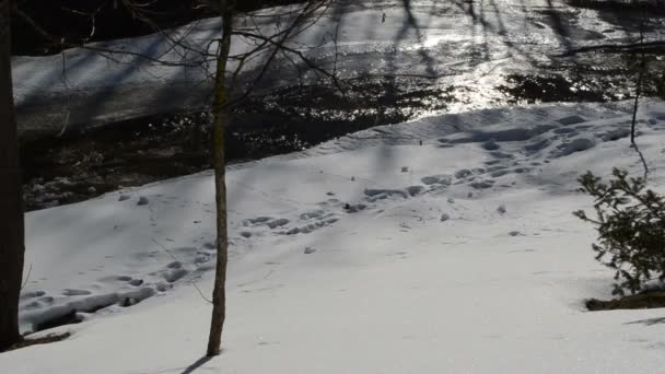 Frozen snow pieces roll hill sun reflect river water downhill — Stock Video