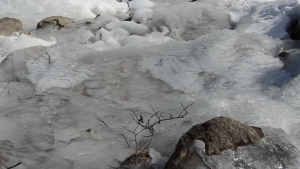 Wasser bewegt gefrorenen Strom Eissteine Winter Sonnenlicht Reflexionen — Stockvideo