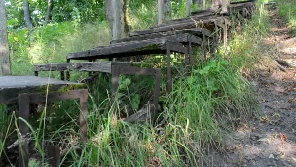 Frau in Flip-Flop-Schuhen geht Retro-Holztreppe hinunter — Stockvideo