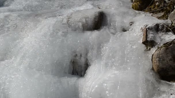 Congelado riachuelo agua cristal increíble sol reflexión agua invierno — Vídeo de stock