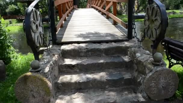 Paseo imitación piedra madera puente salvaje río parque — Vídeos de Stock