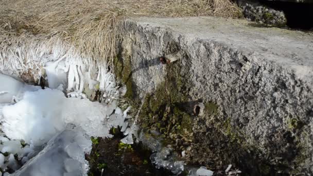 Dentro de una tubería oxidada goteando agua pura — Vídeos de Stock