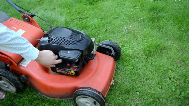 Dolgu çim çim biçme makinesi kesici yakıt tank dolum — Stok video