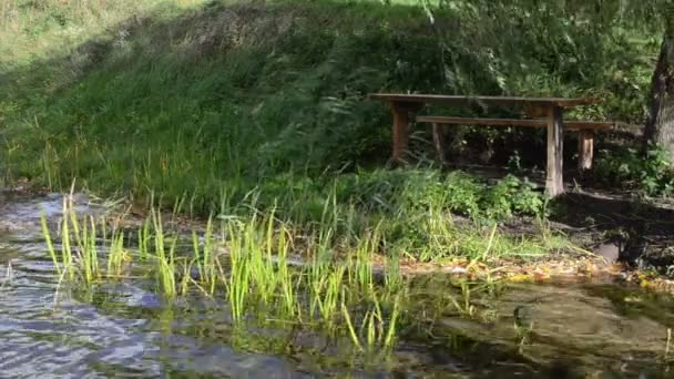 Lonely wood bench willow tree branch move wind ripple lake water — Stock Video