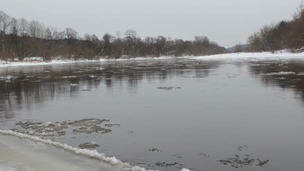Bosque río fragmento hielo témpano flotante agua invierno — Vídeos de Stock