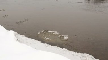 kütlesi float su dokunmatik buz kapak kar nehir banka izleyin