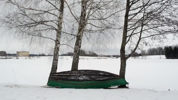 Wooden row boat upside down birch tree lake shore winter snow — Stock Video