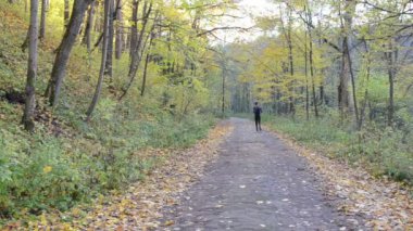 güzel sonbahar park yoldan sağlıklı erkek sporcu atlet
