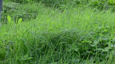 Bahçıvan lastik su geçirmez ayakkabı yürüyüş çiy ıslak çayır çimen çizmeler