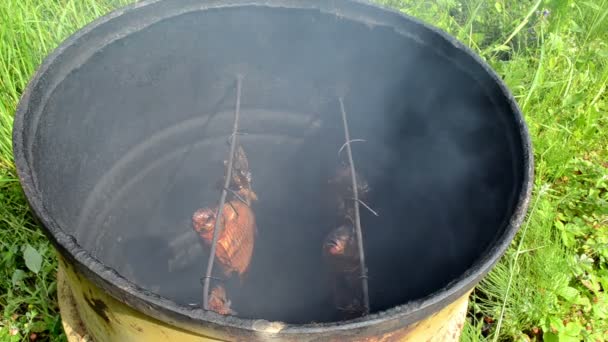 Ecologische vis hangen rook in smokehouse roestig vat — Stockvideo