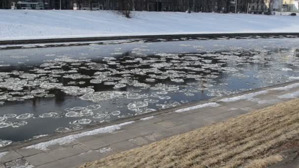 rivière avec le morceau de glace flottant 