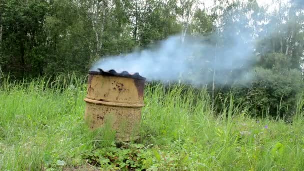 Fumaça subir fumeiro — Vídeo de Stock