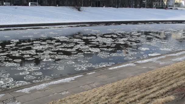 A lebegő darab jég, első nap a tavasz folyó — Stock videók