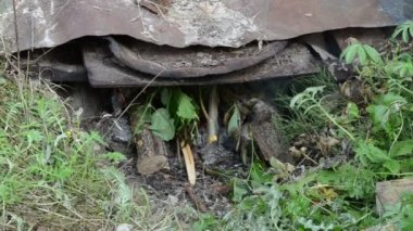 yakacak odun yanık smokehouse