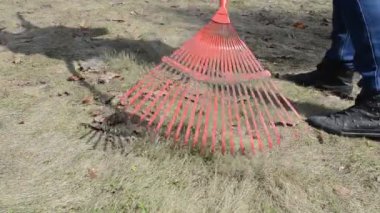 Bahçıvan kadın rake grass