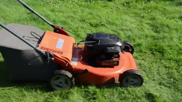 Caminhe prado cortador de grama — Vídeo de Stock
