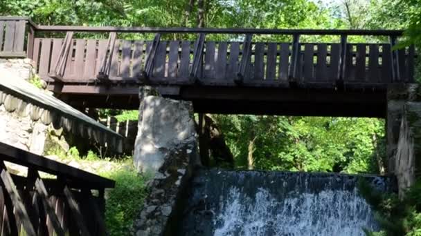 Holzbrücke fließt — Stockvideo